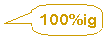100%ig